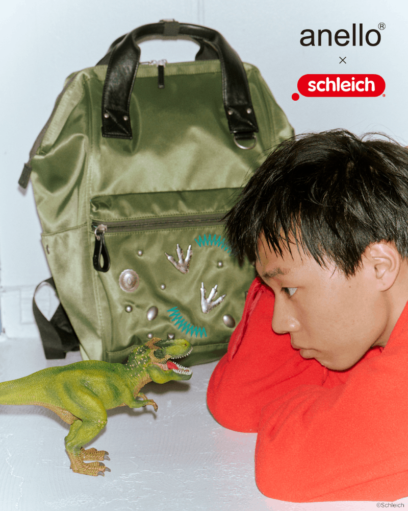 anello schleich