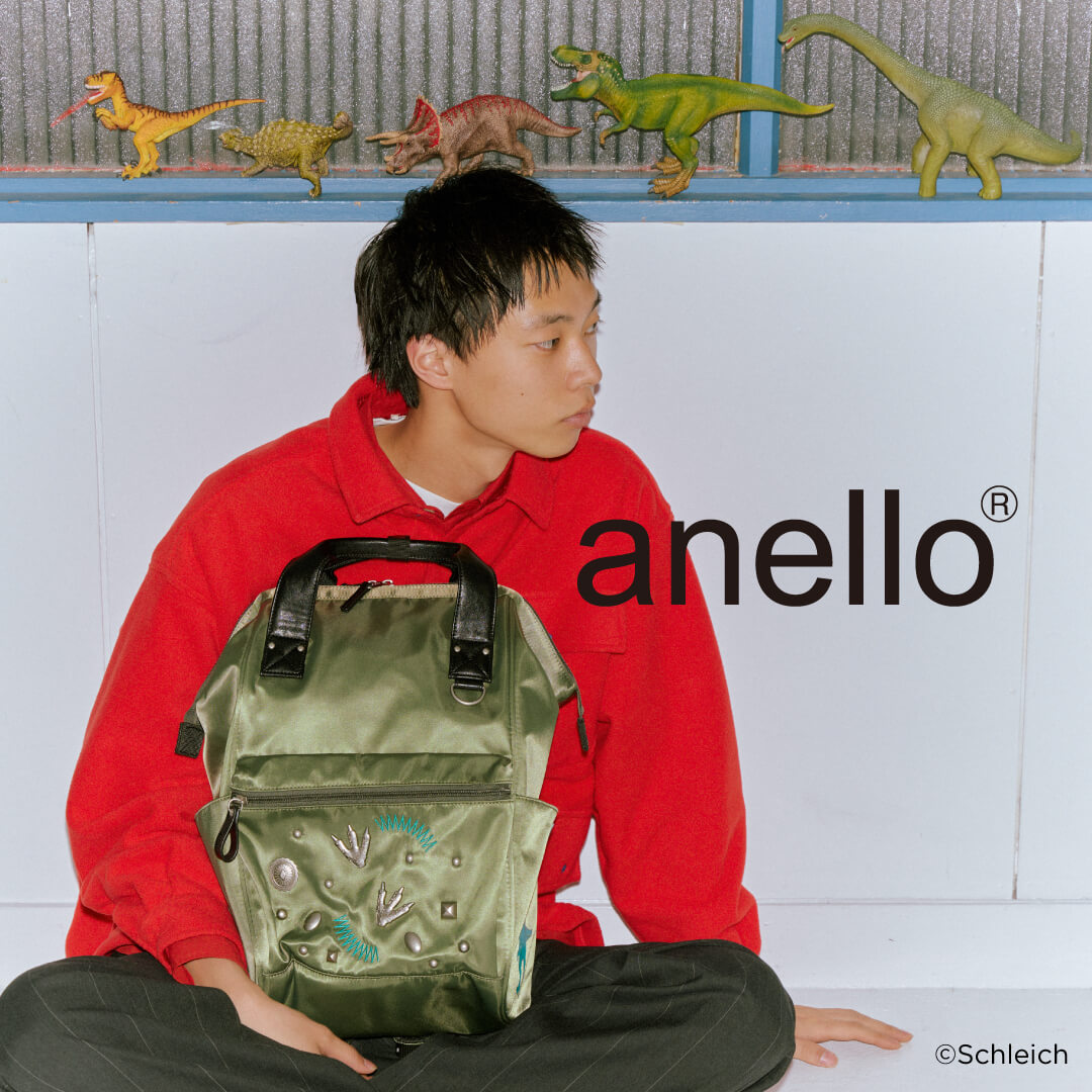 anello schleich
