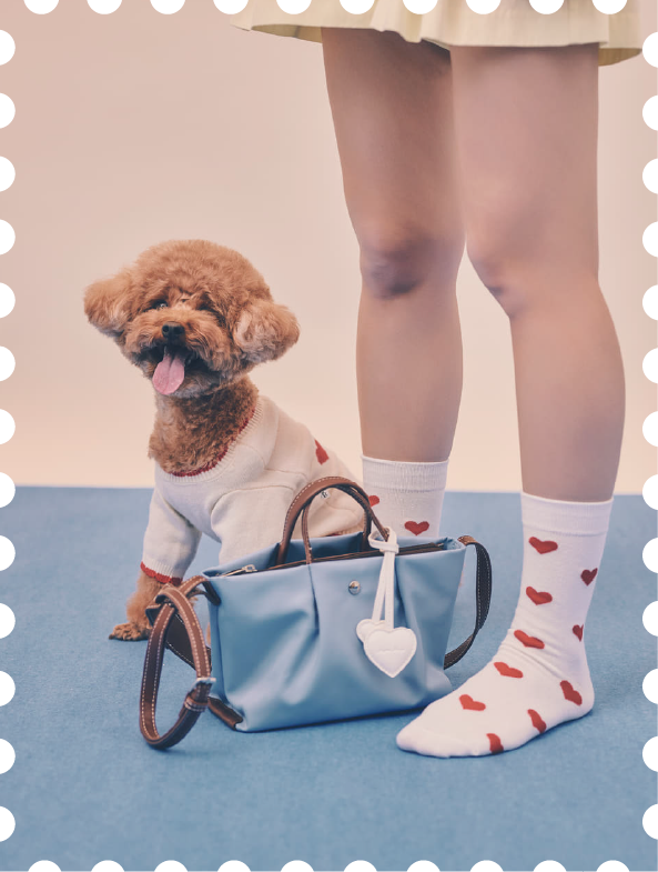 ALL LOVES COLLECTION